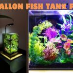 2 gallon fish tank fish