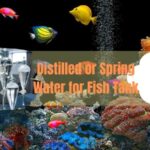 distilled or spring water for fish tank