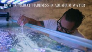 6 How to Reduce Hardness in Aquarium Water